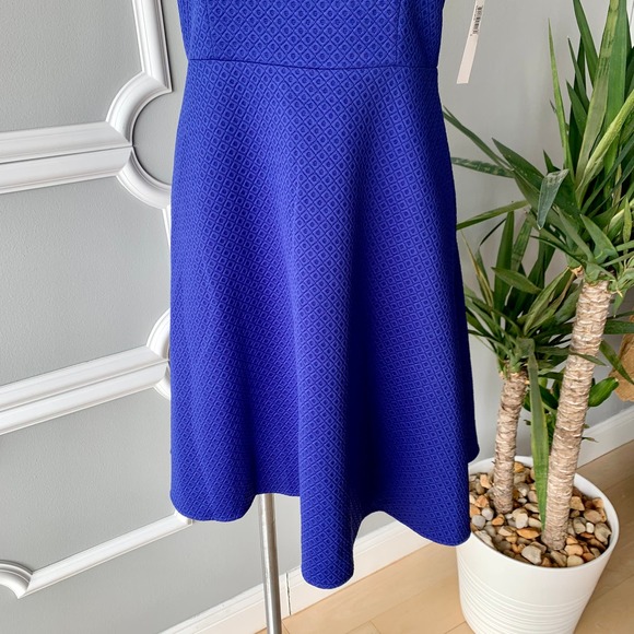 Adorne Sleeveless Scuba Knit Flare Mini Dress in Blue Size 8 - Picture 3 of 9